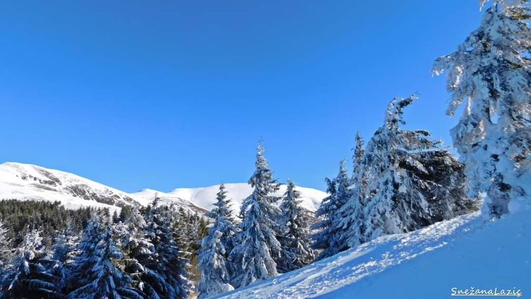 Stara Planina Vila Vesela Kuca Jalovik Izvor Eksteriør billede
